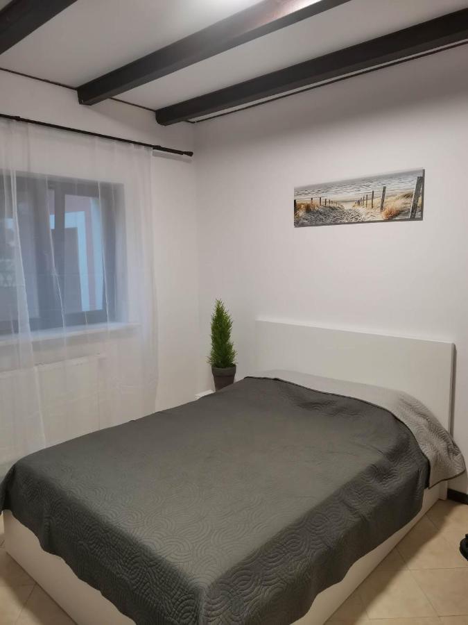 Urocze Studia W Lomiankach, 1- Z Sauna I Tarasem, 2- Z Kominkiem, 3- Ekonomiczne, 7Km Metro Mlociny Warszawa Łomianki Extérieur photo
