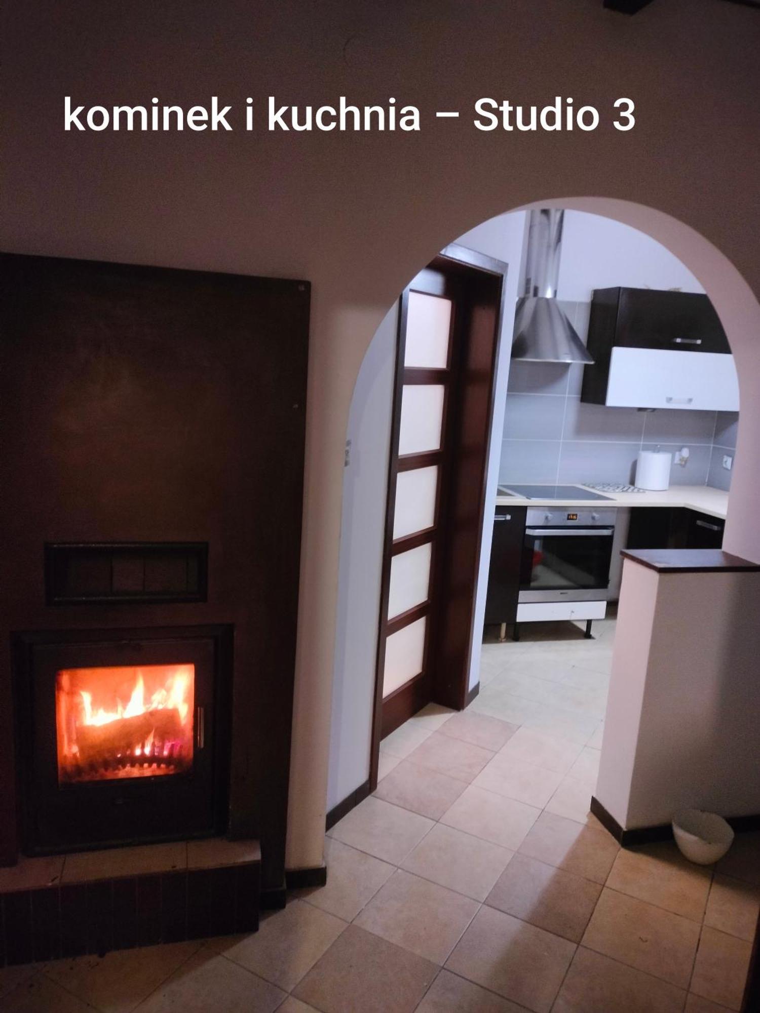 Urocze Studia W Lomiankach, 1- Z Sauna I Tarasem, 2- Z Kominkiem, 3- Ekonomiczne, 7Km Metro Mlociny Warszawa Łomianki Extérieur photo